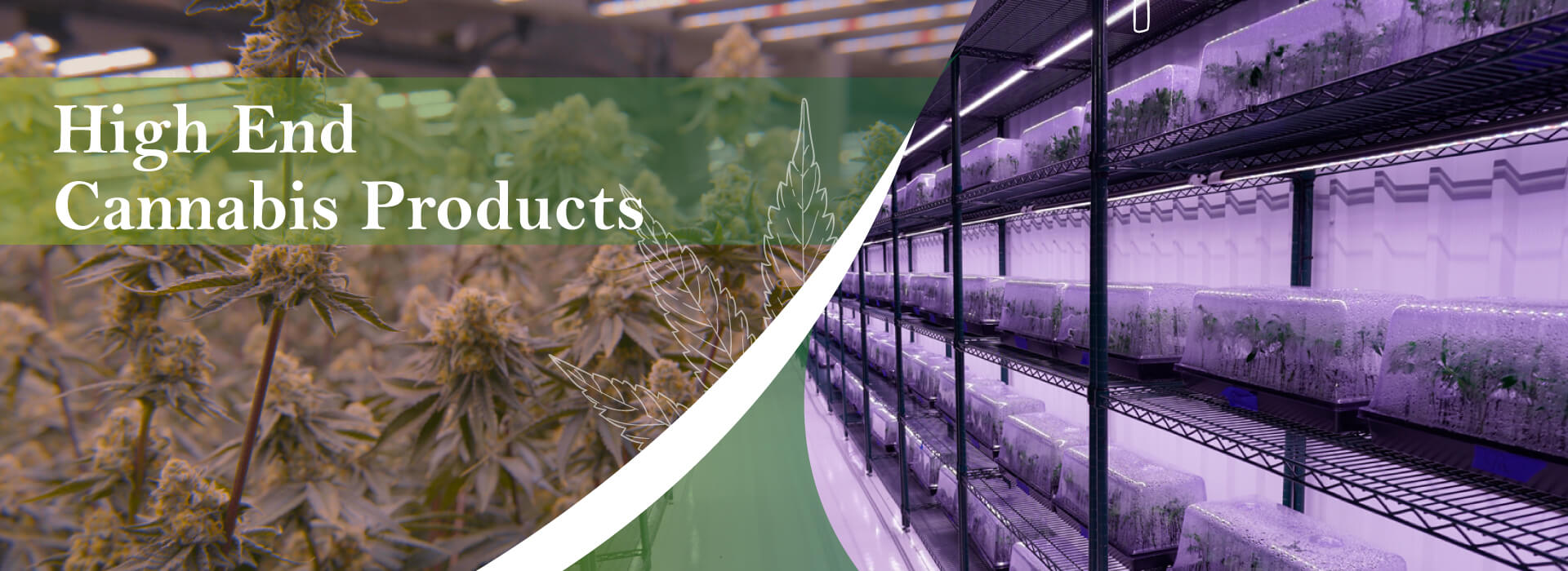 Best Green Smart Farmer Services Woodlake